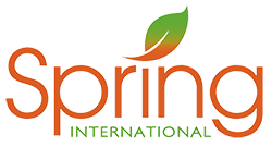 Spring College International logo