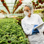 food safety certificate validity singapore