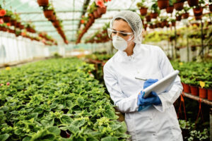 food safety certificate validity singapore